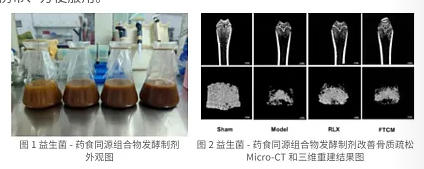 提高骨密度的益生菌-药食同源组合物发酵制剂